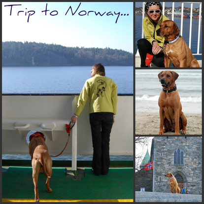 Trip to Norway